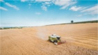 Great images by Unsplash.com